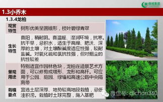 綠城集團(tuán)園林軟景苗木圖譜 全套